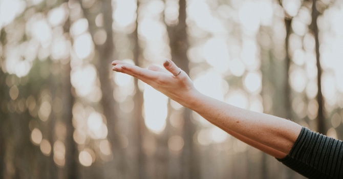 Trauma Wellness Program