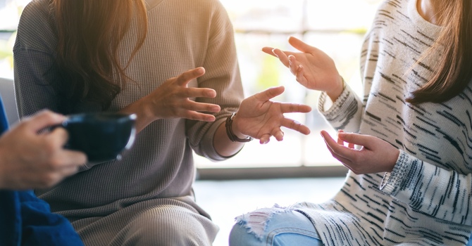 Trauma Wellness Program